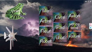Utilisation d'une activité sur smart notebook