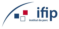logo IFIP