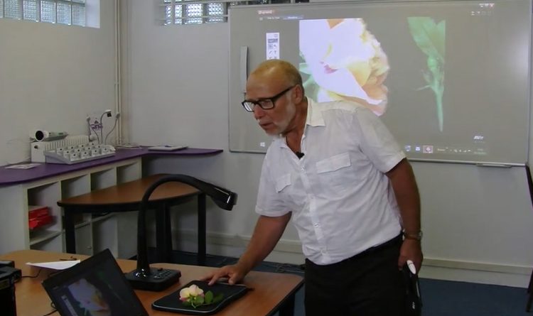 Observation d'une plante sous le visualiseur