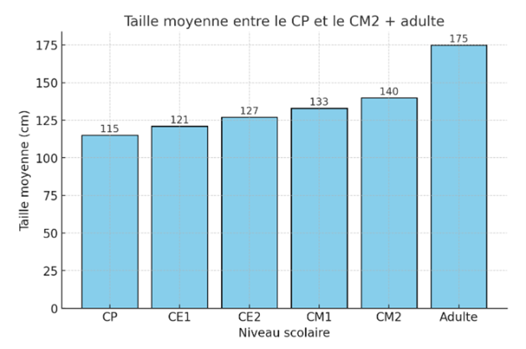 Taille moyenne des participants en fonction du niveau scolaire